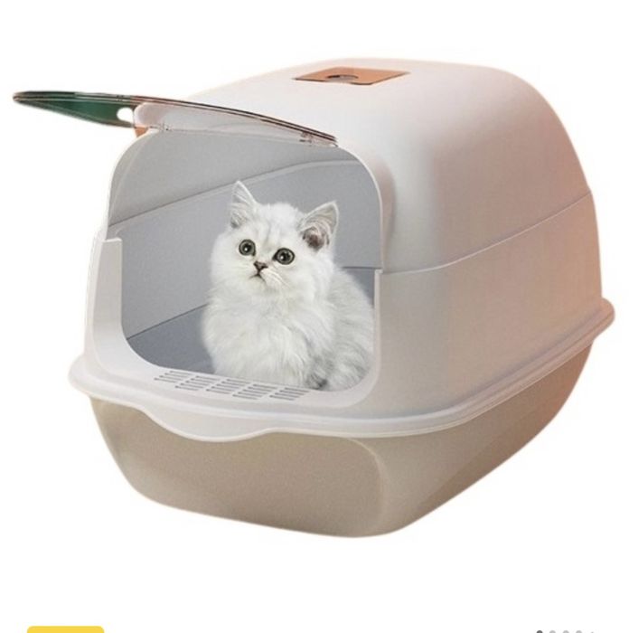 Котенок ( отдам бесплатно)