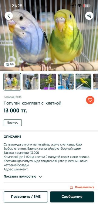 Попугаи и клетка вместе