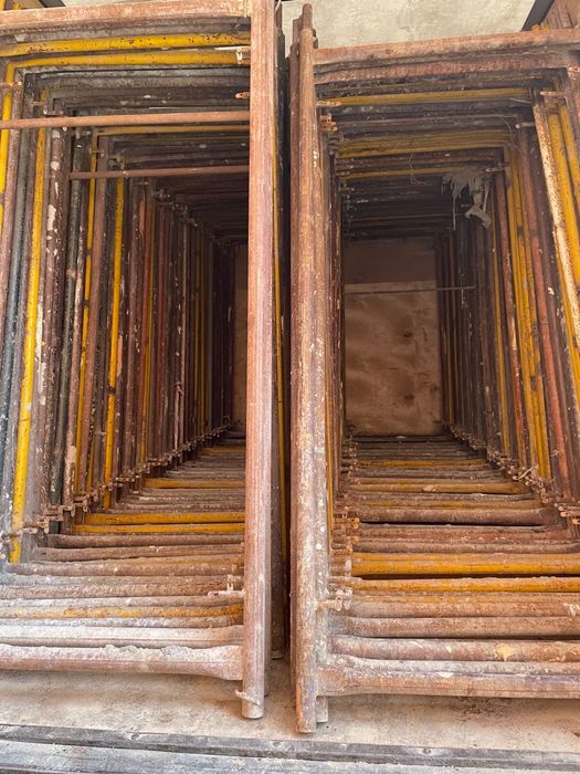 Лиса большой количестве