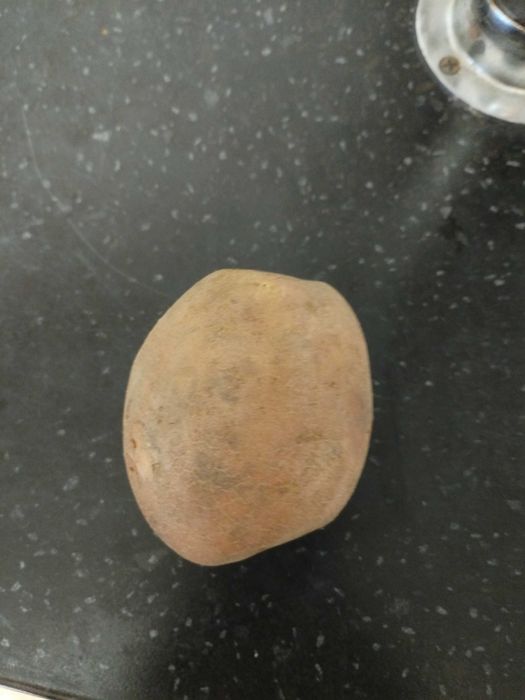 Семенной картофель