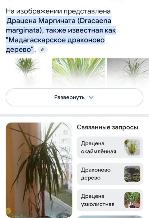 Отдам почти даром.