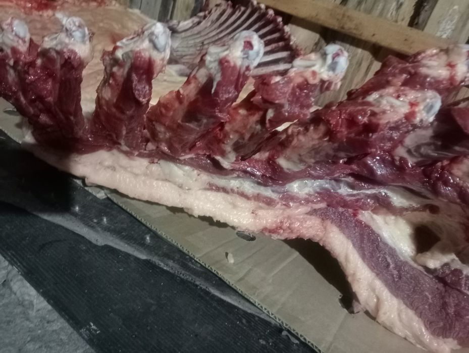 Конина. Мясо. Ет.