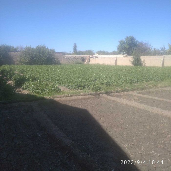 Navoiy viloyat Navbahor tumani G'ujboqtepa mahallasidan hovli sotiladi