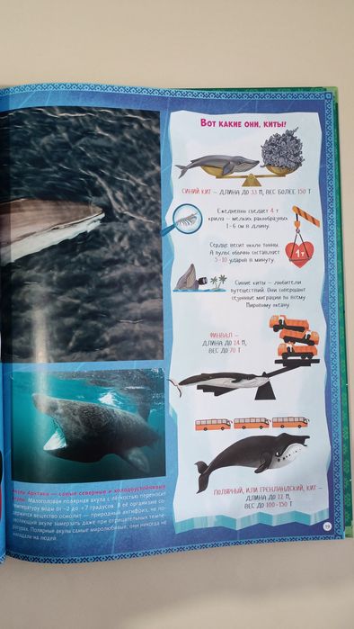 Большая книга новая