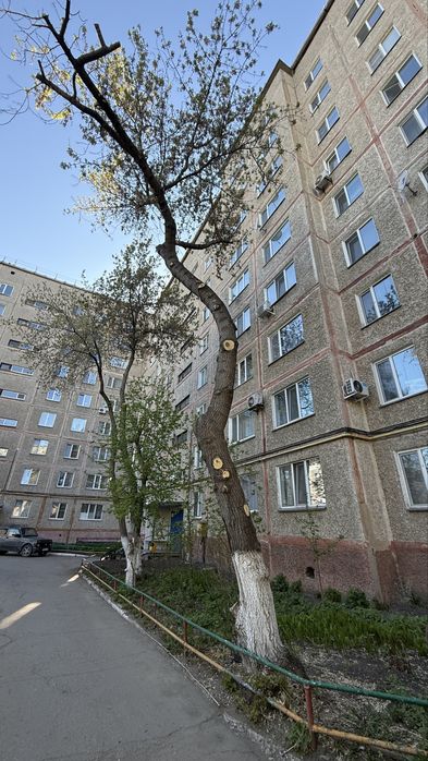3 комнт, район универа