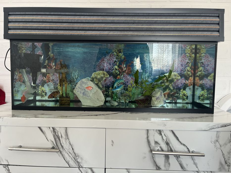 Аквариум 120 Литр