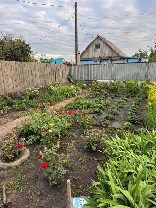 Дача СО " Геолог"