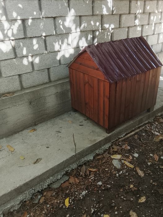 Иттің ұясы сатылады.