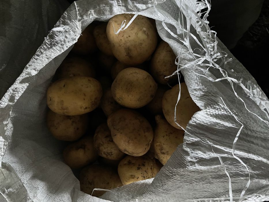 Продаётся картофель