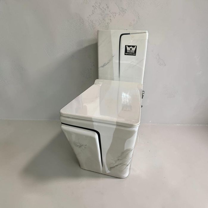 Унитазы, Обычный и Моноблок