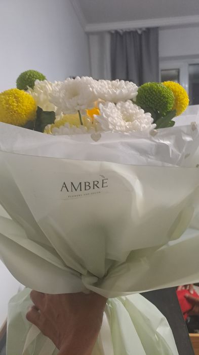 Продам цветы AMBRE