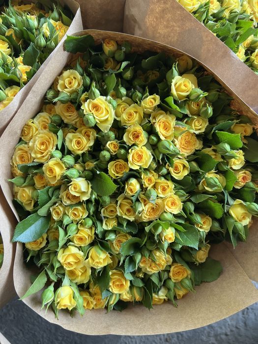 Atirgul gunchalari bor