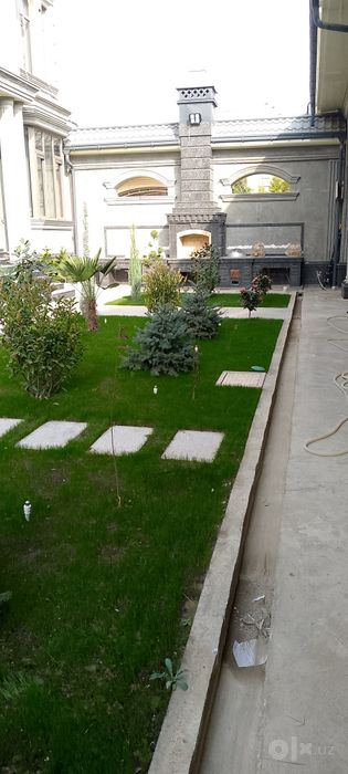Gazon yotqizish tayor rulon landshaft dizayni xizmatlari  mavjud