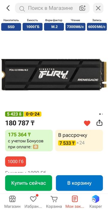 SSD Kigston Fury 1Tb