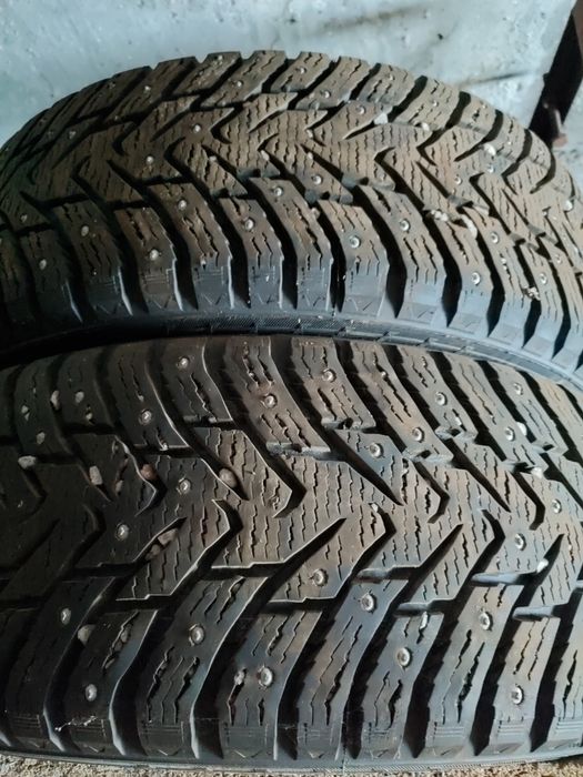 Нокиан, Данлоп зимняя