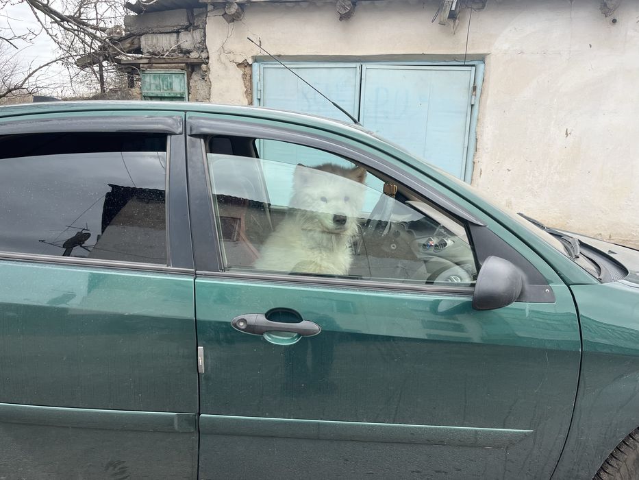 Обмен или продам