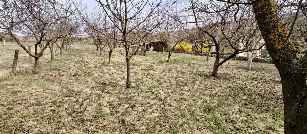 Vand teren în borhanci