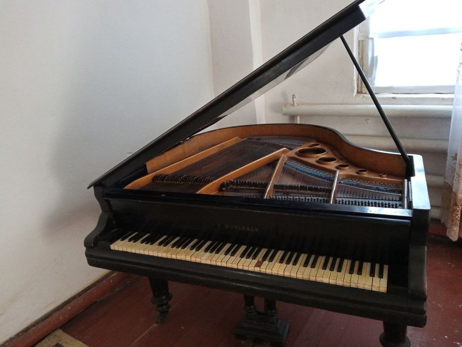 ПродаетсяПиянена