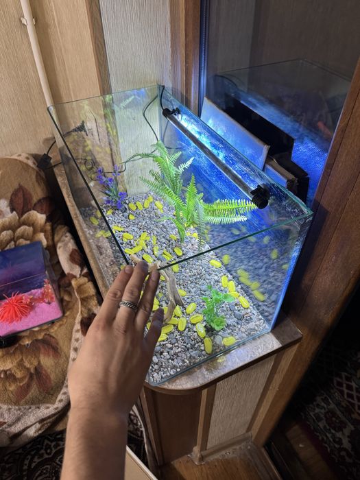 Аквариум 65 литров готовый комплект