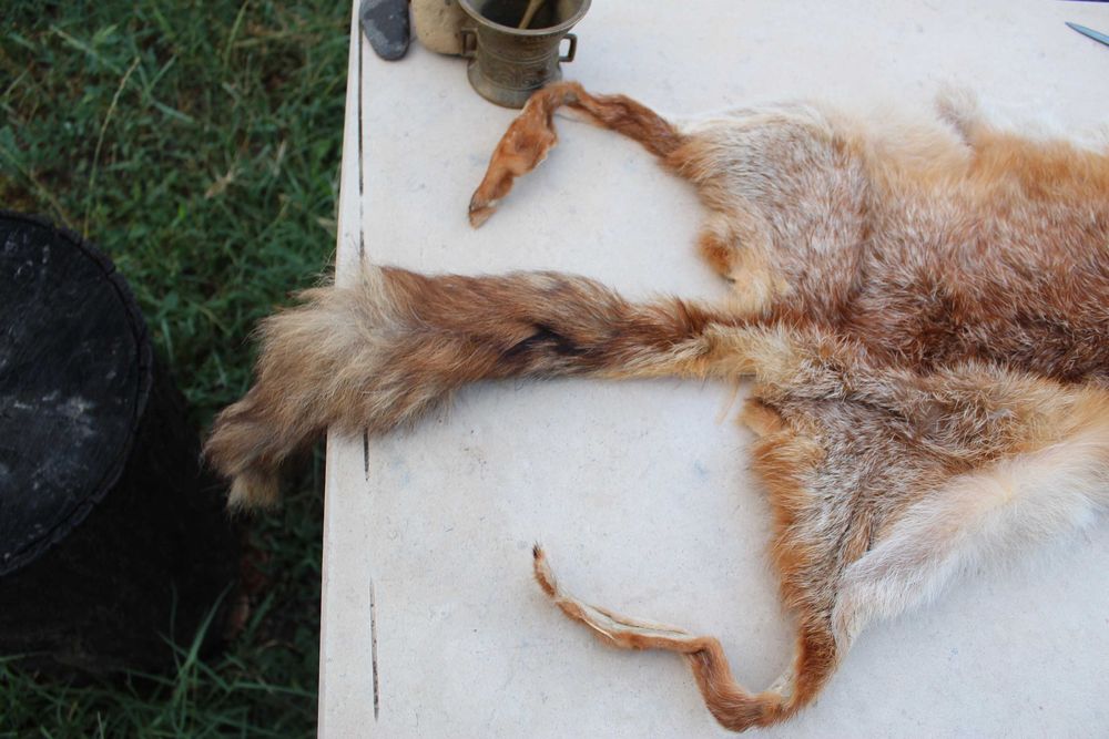 Яка / кожа на лисица