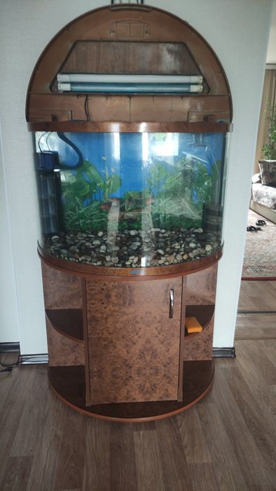 Продам Аквариум заводской!