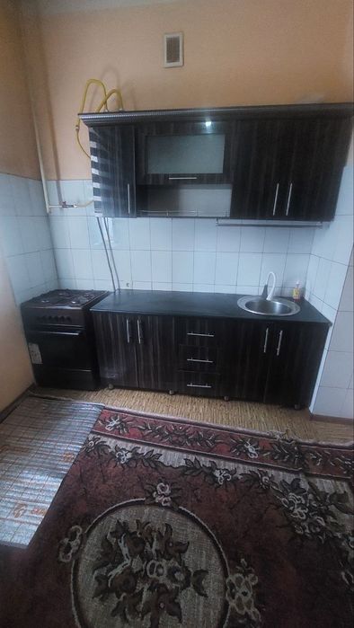 Тезда 11 паленика ижарага берилади