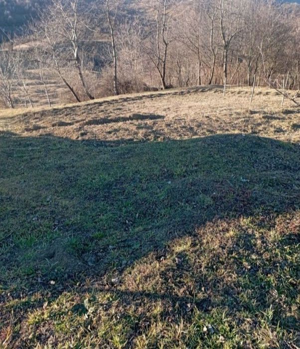 Pământ intravilan