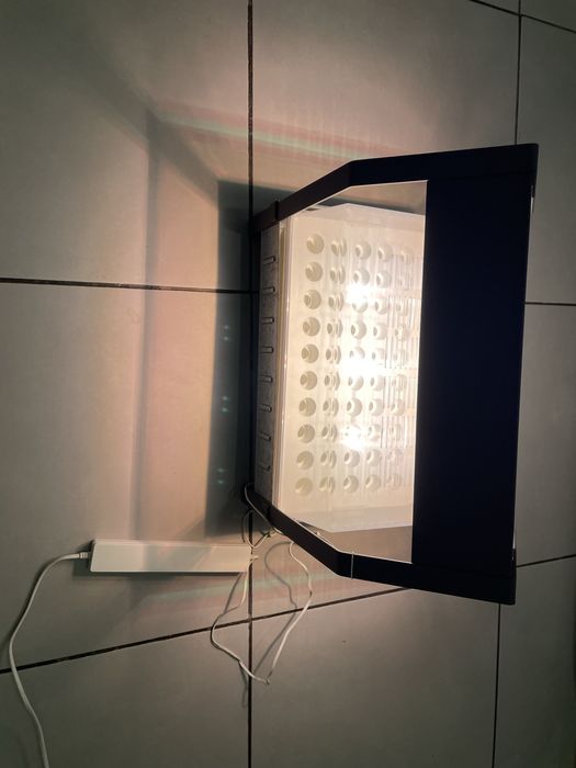Sera Ikea 50 de rasaduri