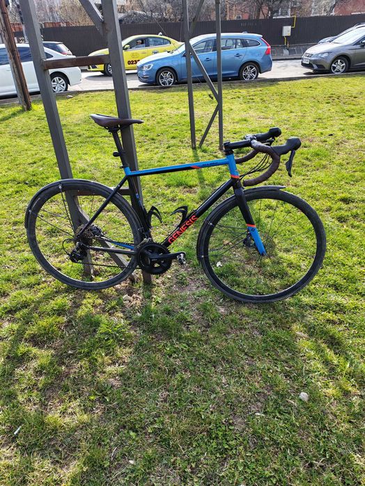 Cursiera Genesis equilibrium disc reynolds 725