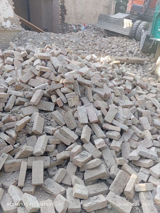 Pishgan gisht bor 500 somdan ortib beramza