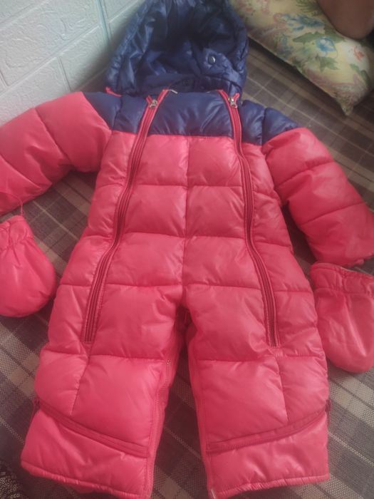 Отдам.        Даром