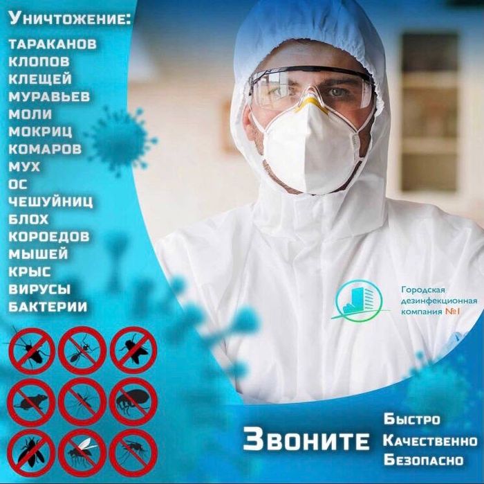 Дезинфекция дезинсекция от насекомых  клопов dezinfeksiya klopa klopi