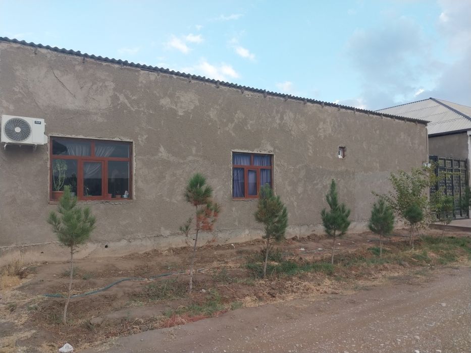 Holi sotiladi 6 sutik