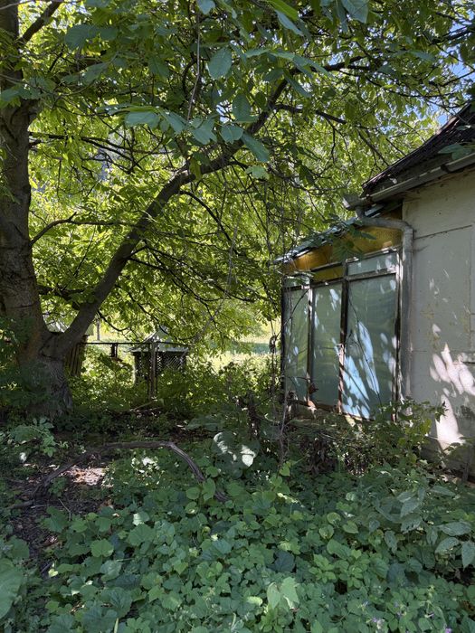 De vânzare casă + anexe + 7458mp teren intravilan Tulghes, Harghita