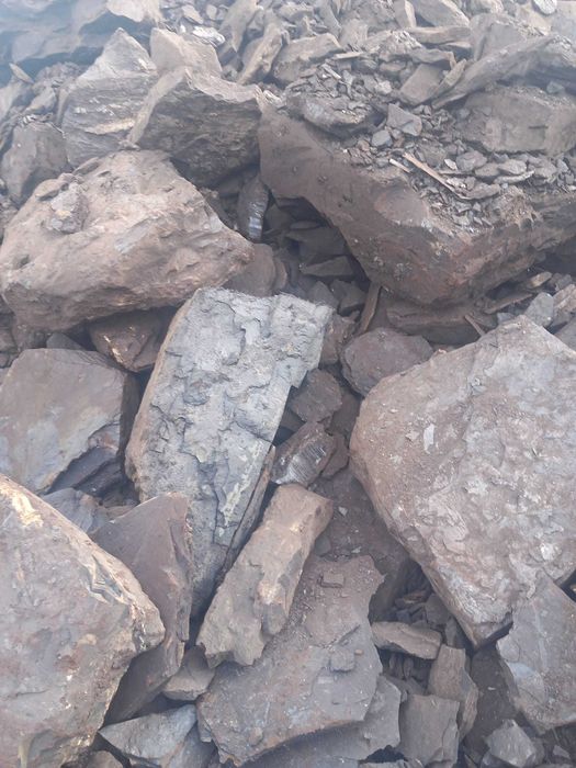 Carbune lignit, pentu sobe si centrale