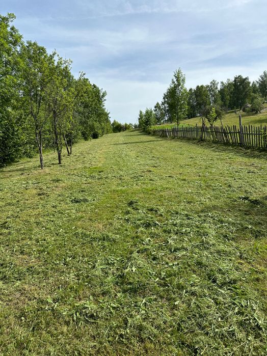 Teren extravilan in satul Tarsa, Hunedoara.