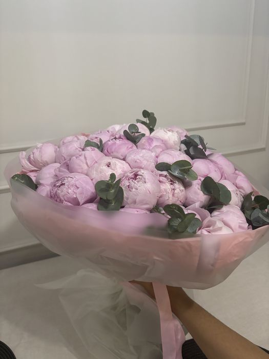 Букет пионов, свежие, 45шт.