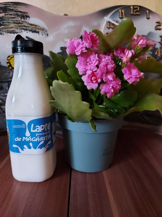 Lapte de magarita premium