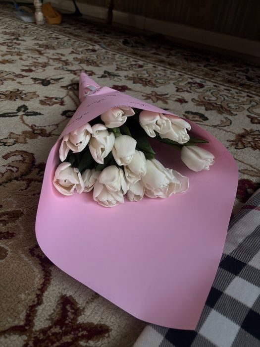 Тюльпан, бугын азанда келды