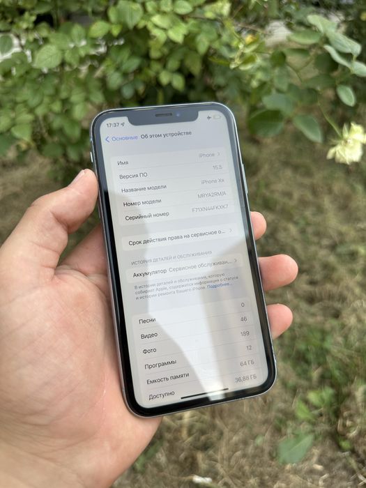 iPhone XR Blue.