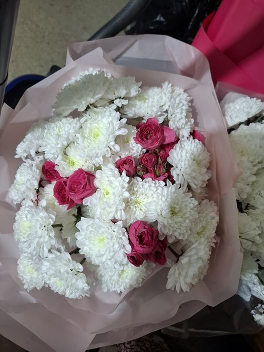 Цветы  живые б/у