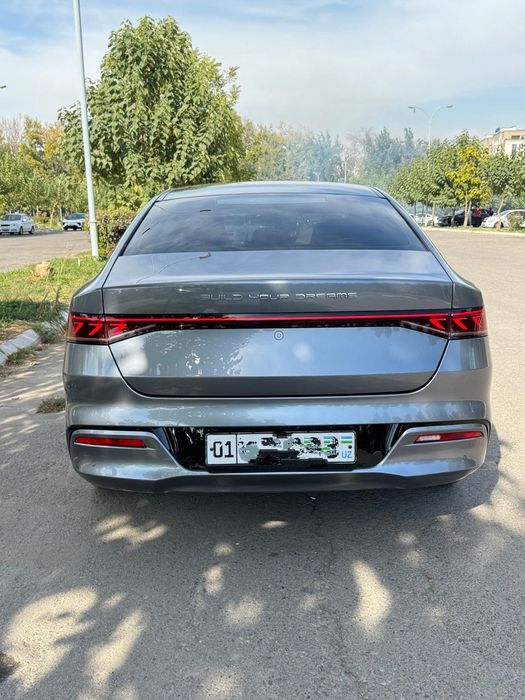 BYD QIN PLUS 510 taligi