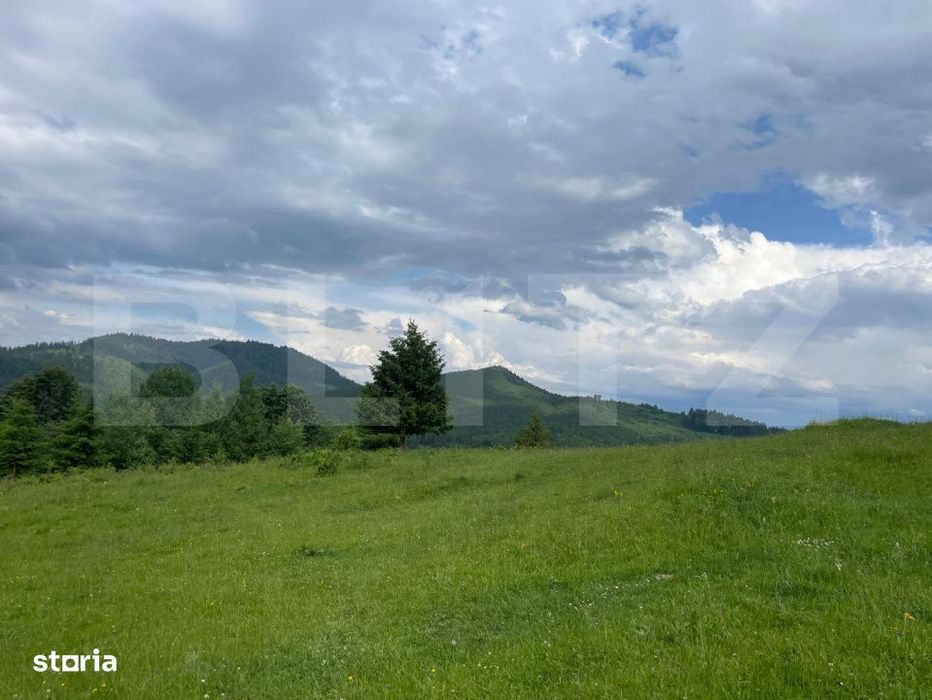 Teren de vanzare, 2 ha - Campulung Moldovenesc, zona Sandru