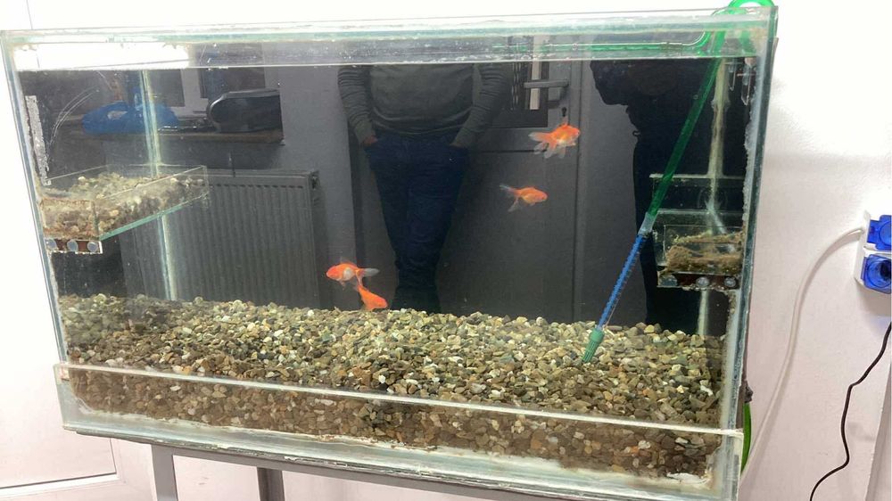 Acvariu 270 l + filtru extern Eheim nou-nout + masa otel