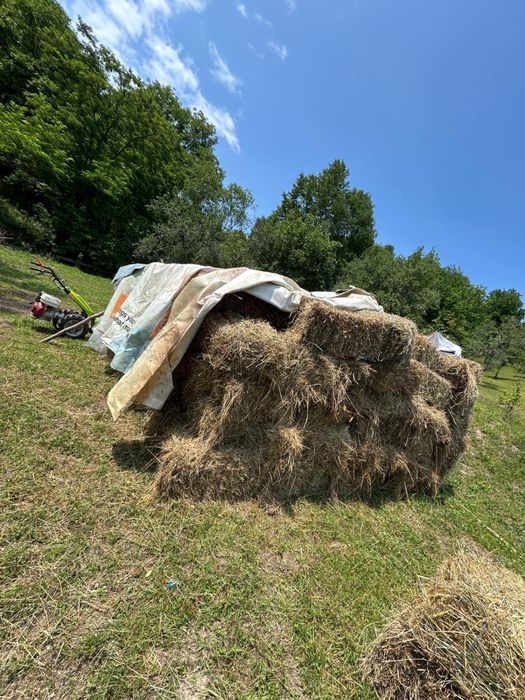 Baloții fân.