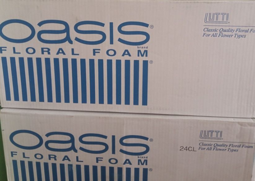 Оазис флористика губка