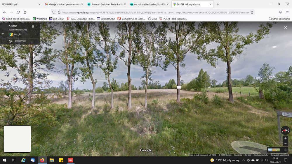 Teren 6500 mp Ocna Sugatag – drum judetean, ideal pensiune / cabane