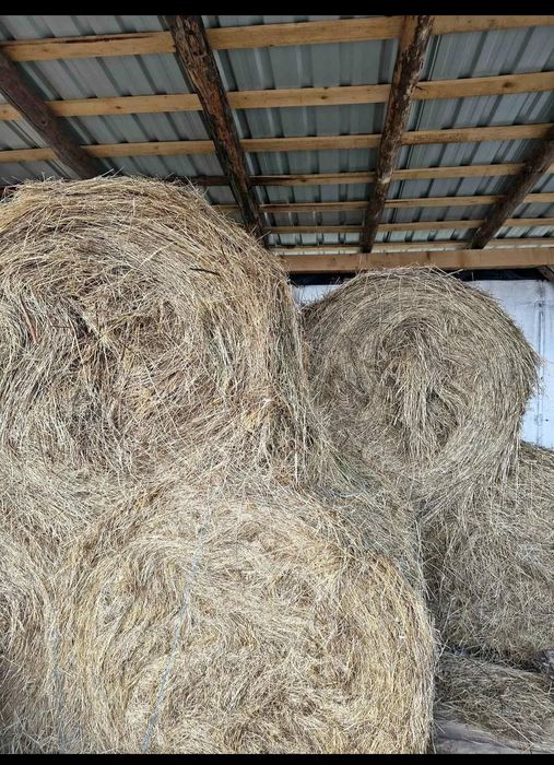 Vand baloti de fan 120 /120