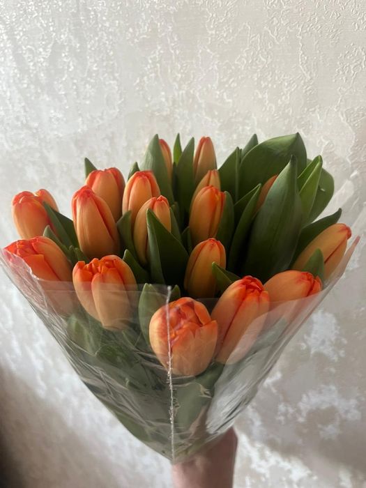 Тюльпаны от 500 тг