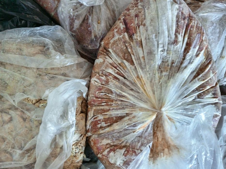 Корма для собак Костанай